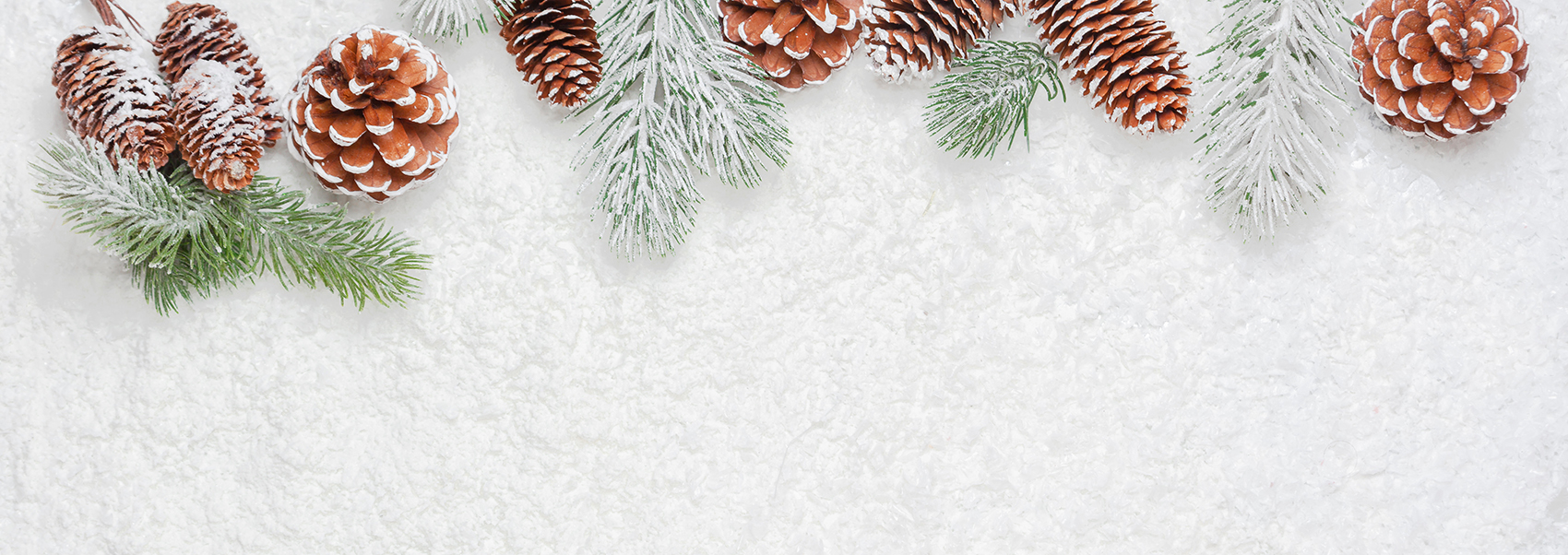 Enfoque de Diciembre – Sé lo mejor de ti en estas fiestas Enfoque de Diciembre – Sé lo mejor de ti en estas fiestas