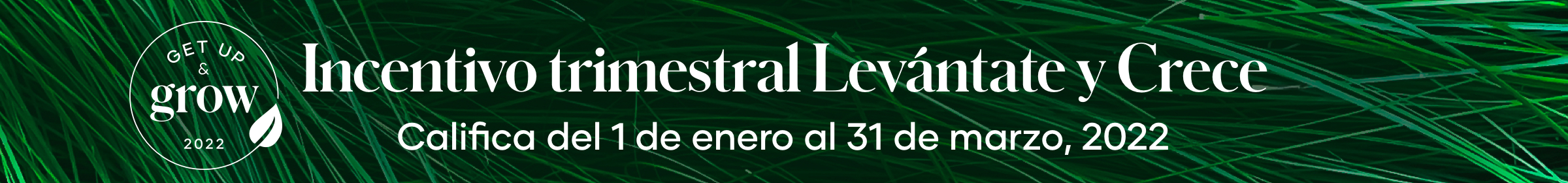 Quarterly Incentive_ArticleBanner_1_8_SP