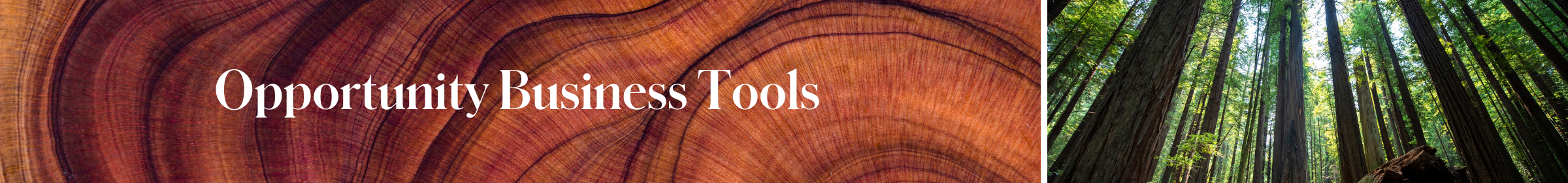 US ENG Oppty Business Tools Banner