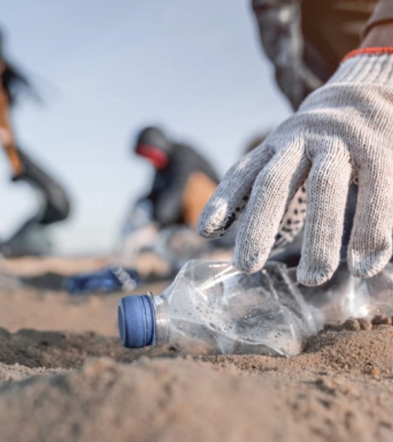 Great Global Cleanup
