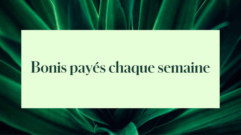 Bonis payés chaque semaine