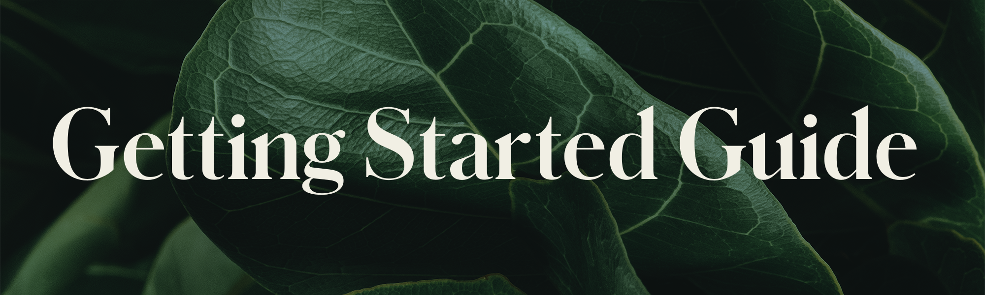 Getting Started Guide Header